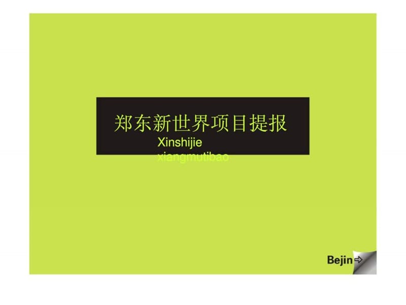 郑东新世界项目提报.ppt_第1页