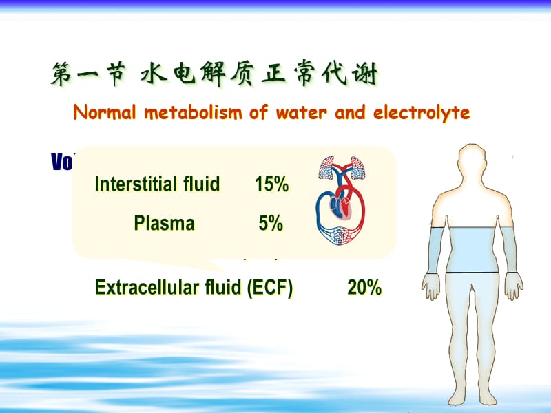 病理生理学课件（石磊）水电解质代谢紊乱huifu.ppt_第3页