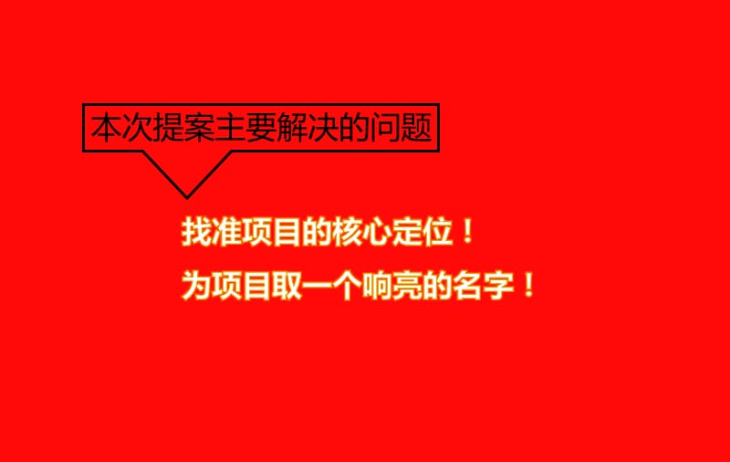 海南琼中项目整合推广方案2010.ppt_第2页