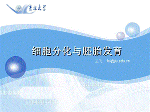 细胞分化与胚胎发育-课上演示版.ppt