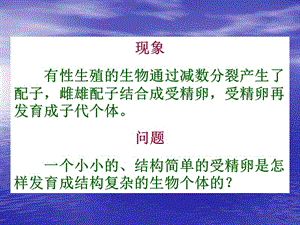 生命的个体发育.ppt