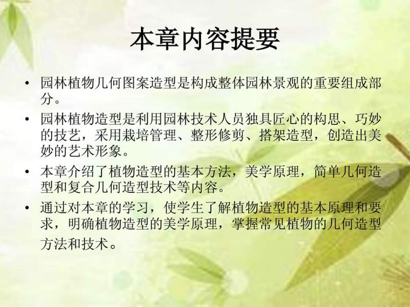 植物几何造型第4章.ppt.ppt_第2页