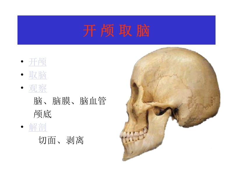 湘雅颅脑应用解剖2.ppt_第1页