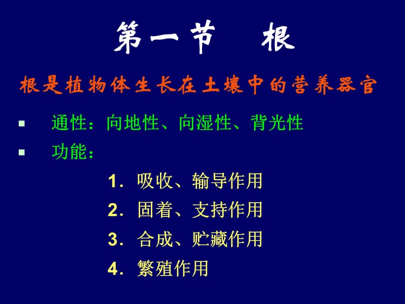 潘晓军《药用植物学》04第三章根.ppt_第3页