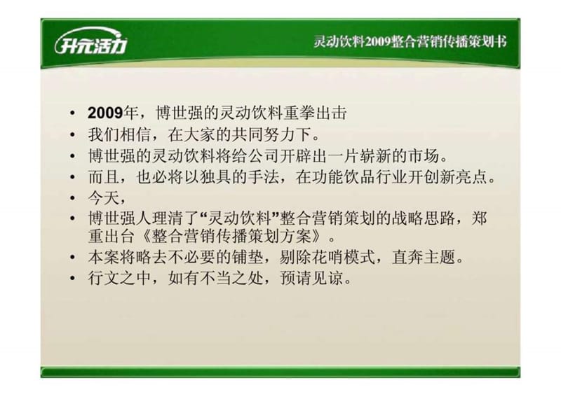 灵动饮料2009整合营销传播策划书.ppt_第2页