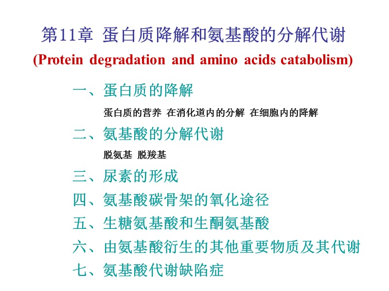 生物化学ii（苏维恒）蛋白质代谢 2013 苏维恒 6-13.ppt_第1页