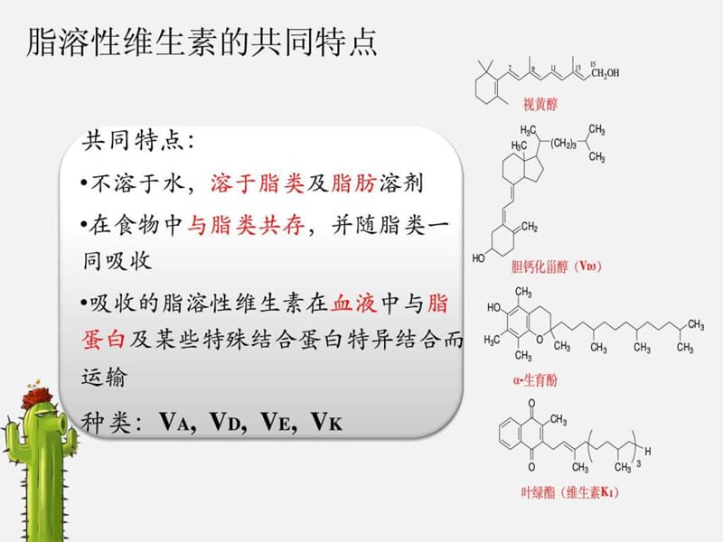 植物大战僵尸_ppt模板.ppt.ppt_第3页