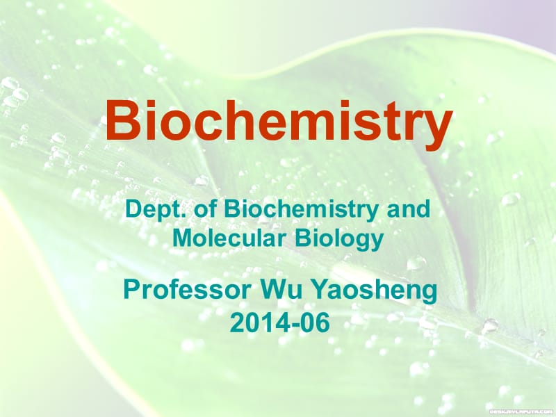 生化2014 c16 rna transcription2.ppt_第1页