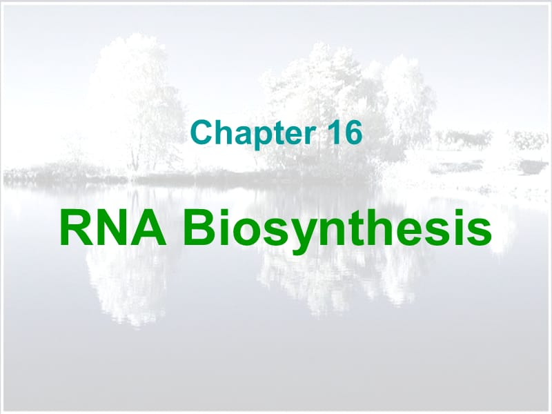 生化2014 c16 rna transcription2.ppt_第2页