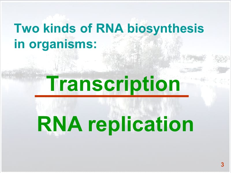 生化2014 c16 rna transcription2.ppt_第3页