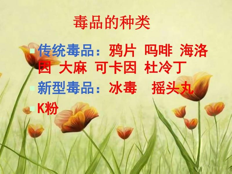 安全与禁毒教育ppt_图文.ppt.ppt_第2页