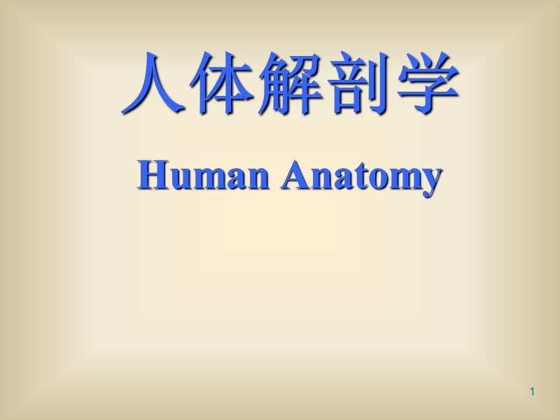 绪论和骨学.ppt_第1页