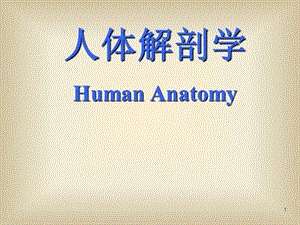 绪论和骨学.ppt