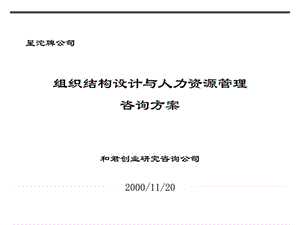 组织结构设计与人力资源管理咨询方案.ppt