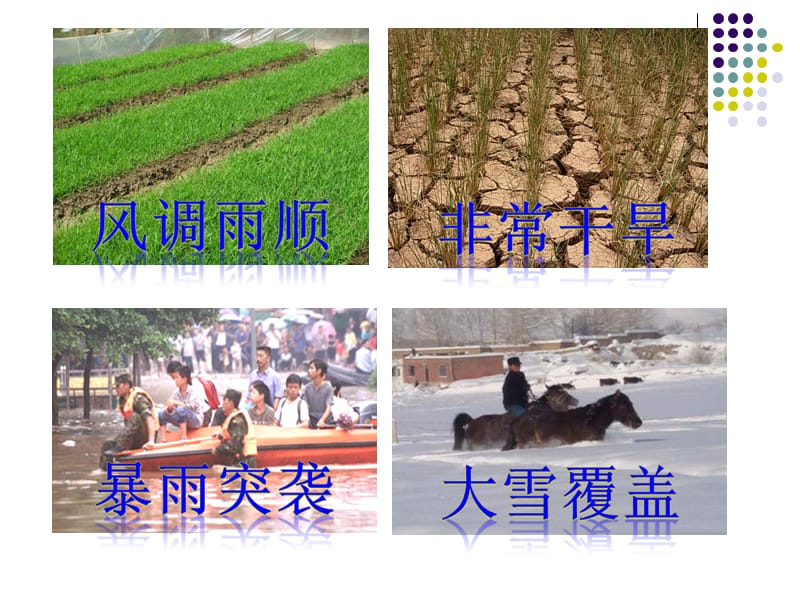 人教版七年级上册地理《降水的变化与分布》课件.ppt_第2页