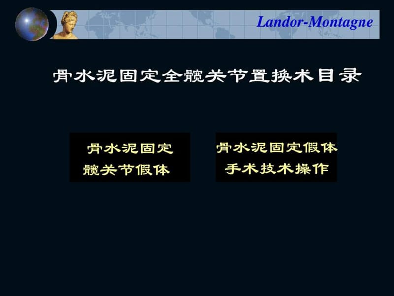 人工髋关节学骨水泥固定全髋置换术1.ppt.ppt_第2页