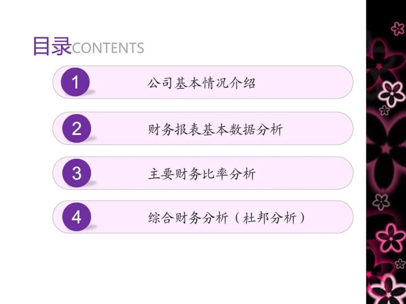 财务分析报告_图文.ppt_第2页