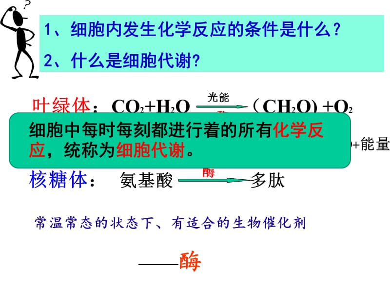 人教版高中生物必修一第五章《细胞的能量供应和利用》课件.ppt_第2页