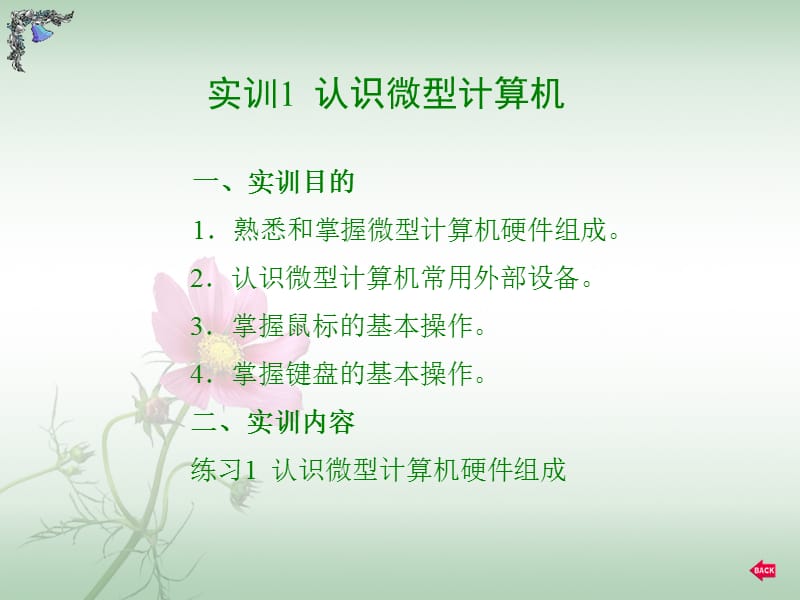 计算机培训.ppt_第2页