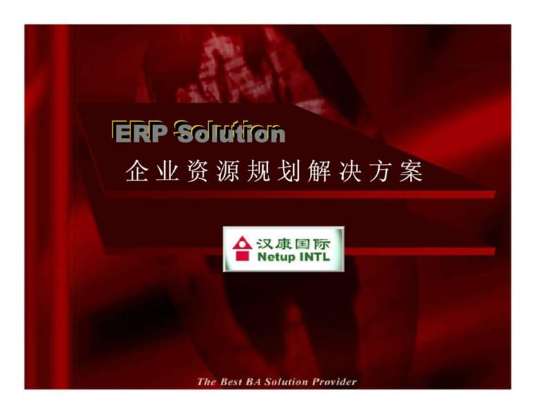 企业资源规划解决方案.ppt_第1页