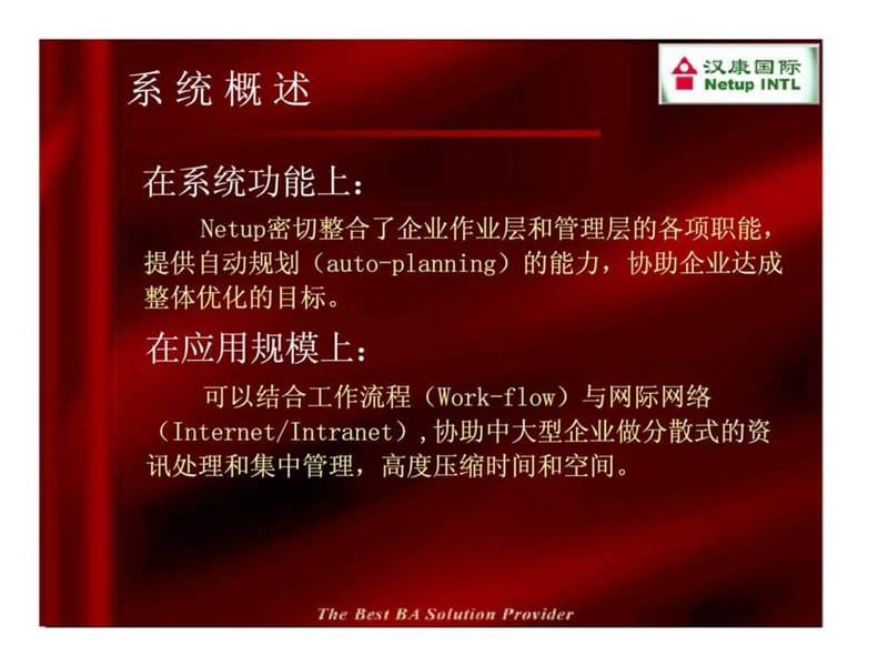 企业资源规划解决方案.ppt_第3页