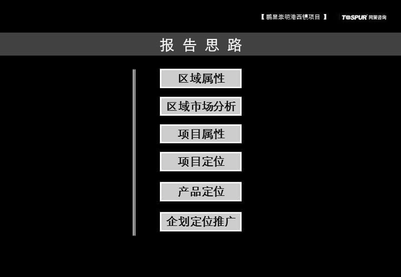 2010上海崇明港西镇项目定位策划报告.ppt_第2页