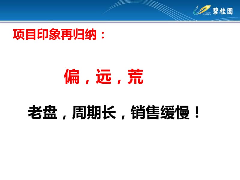 2013年芜湖碧桂园营销诊断及营销策略推广方案（86页).ppt_第2页