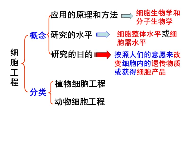 2.1.1植物细胞工程的基本技术.ppt_第3页