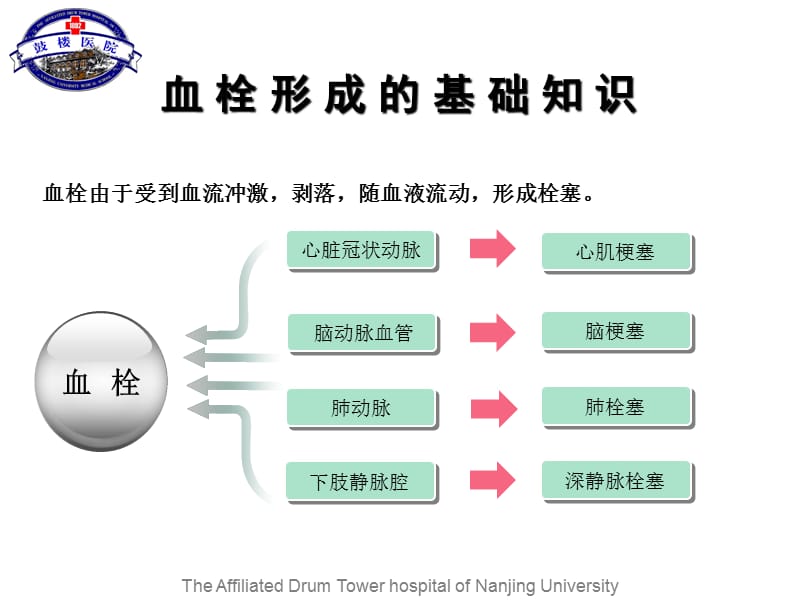 临床药师药师在门诊诊疗中的模式探讨.ppt_第3页