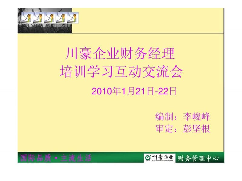 财务经理培训2010年ppt版_图文.ppt_第1页