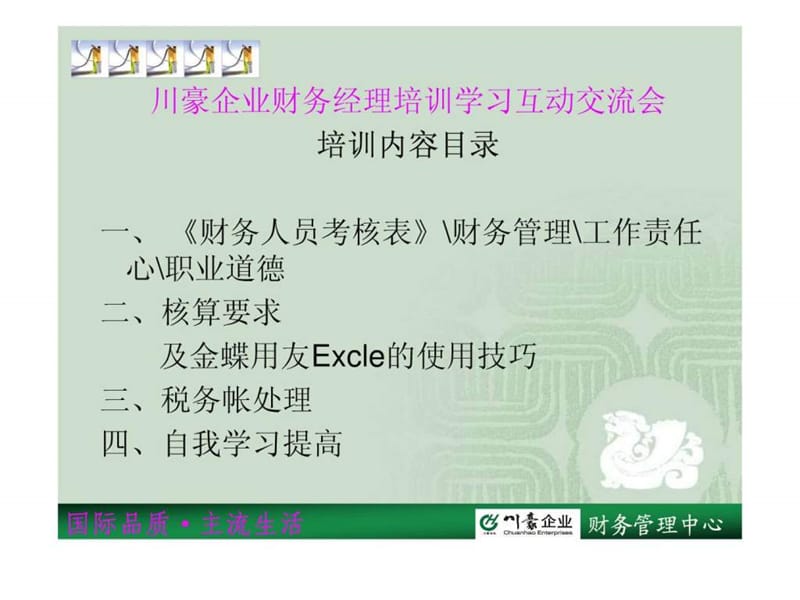 财务经理培训2010年ppt版_图文.ppt_第3页