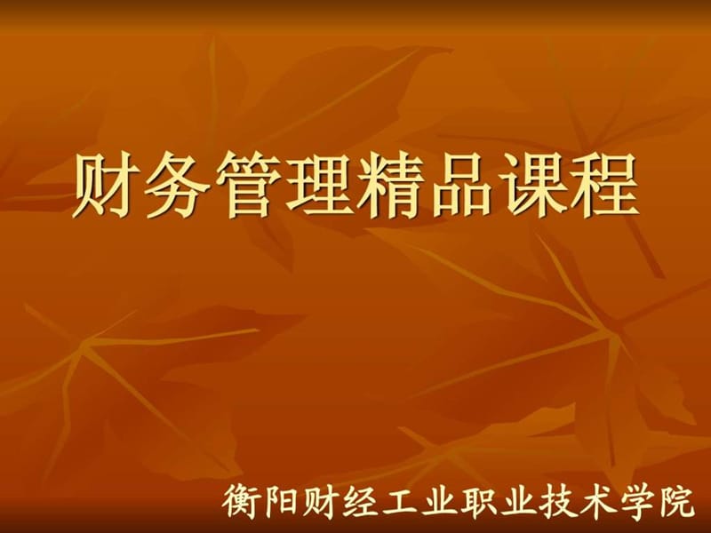 财务管理精品课程(ppt 30).ppt_第1页