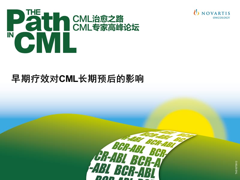 4.早期疗效对CML患者长期预后的影响.ppt_第1页