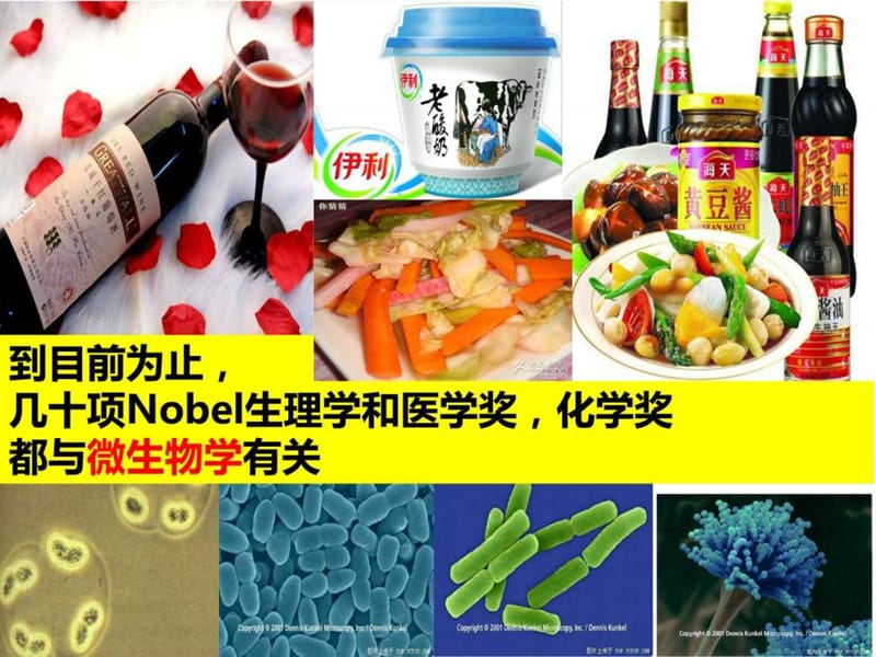 微生物的培养与利用 - 上课_图文.ppt.ppt_第2页