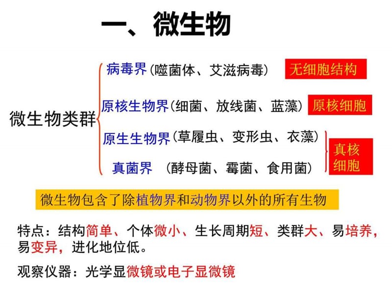 微生物的培养与利用 - 上课_图文.ppt.ppt_第3页