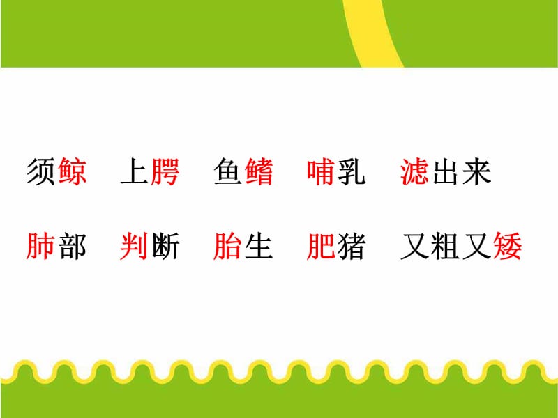 人教版小学五年级语文课件《鲸》.ppt_第2页