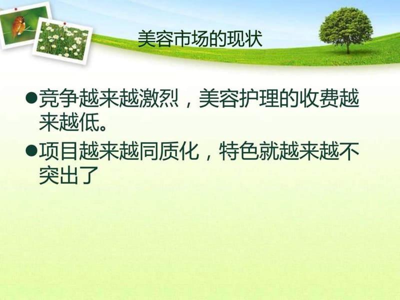 天姊尚品植物原液雷雷.ppt.ppt_第2页