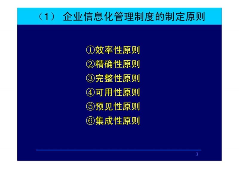 企业信息管理师培训-信息化管理(高级-2).ppt_第3页