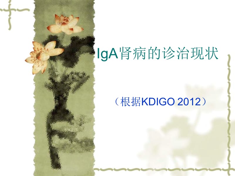 IgA肾病诊治现状.ppt_第1页