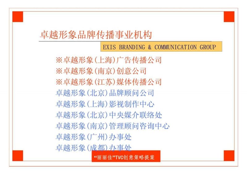 丽丽佳漆TVC创意策略提案.ppt_第2页