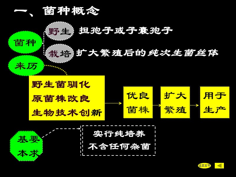 食用菌菌种生产.ppt_第3页