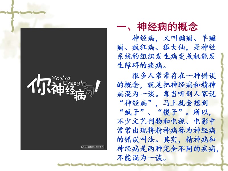 被精神病患者的权益维护.ppt_第3页