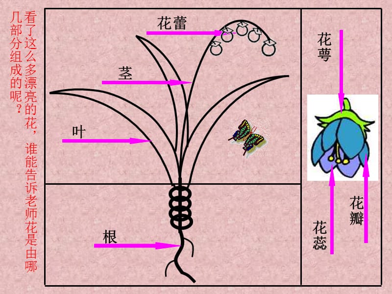 人美版小学美术二年级上册《茂密的花》课件.ppt_第1页