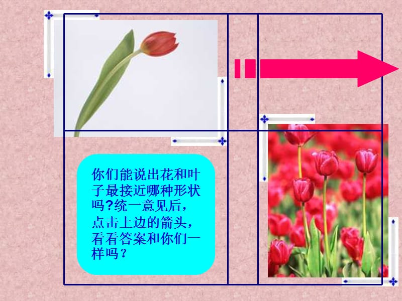 人美版小学美术二年级上册《茂密的花》课件.ppt_第2页