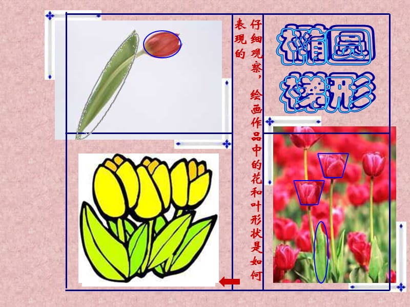 人美版小学美术二年级上册《茂密的花》课件.ppt_第3页