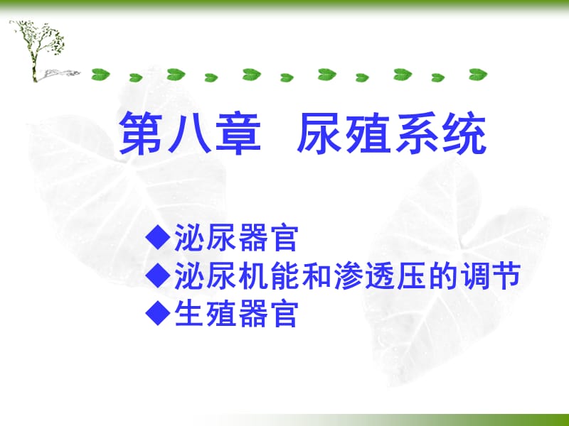 第八章_尿殖系统.ppt_第1页