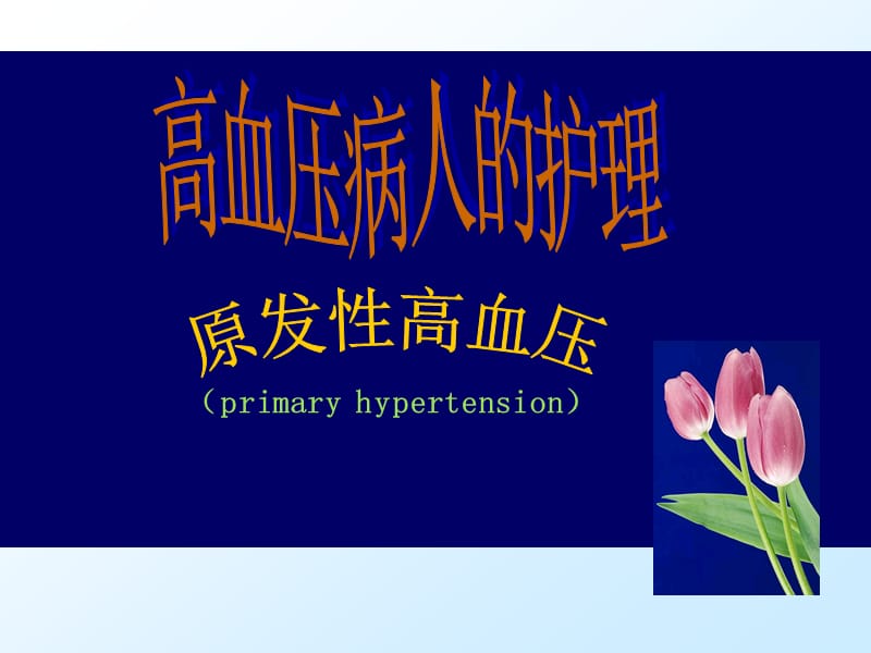 高血压病人的护理.ppt_第1页