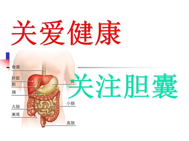 关注胆囊饮食指导-(1).ppt_第1页