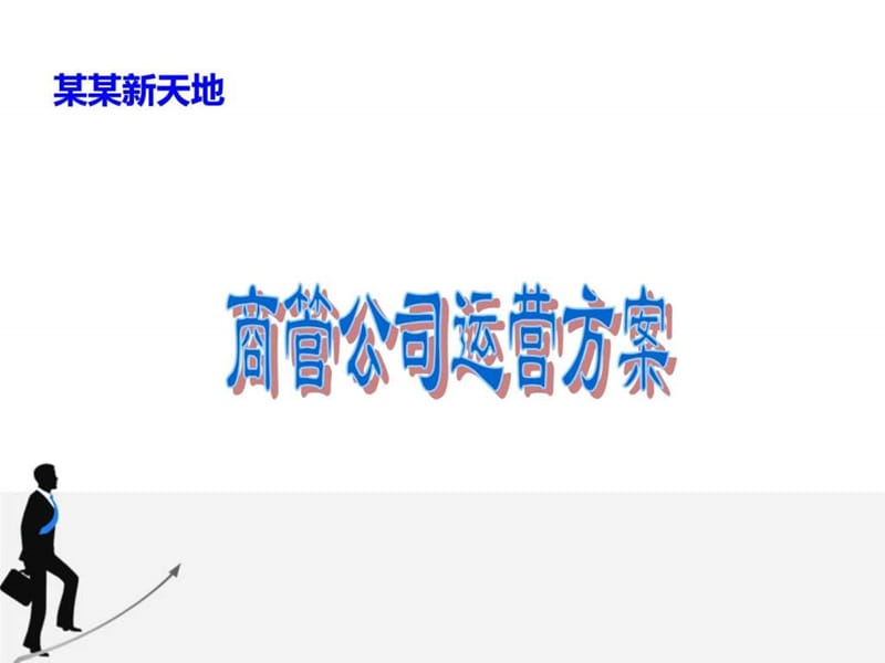 某商业经营管理公司运营方案_图文.ppt.ppt_第1页