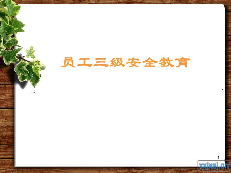 新员工安全培训(新版)PPT.ppt_第1页